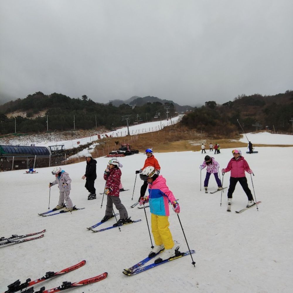다숲이맺은인연