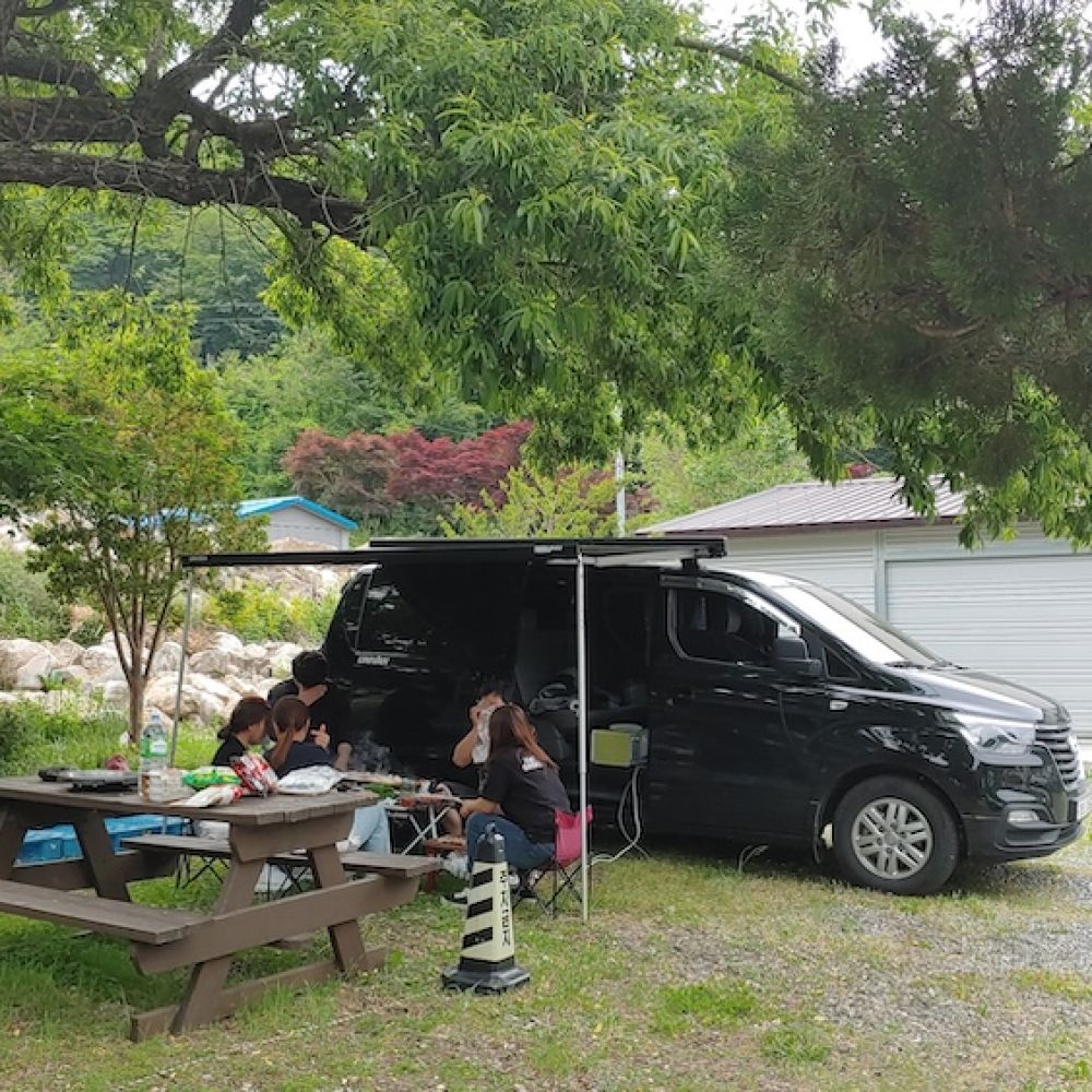다숲이맺은인연
