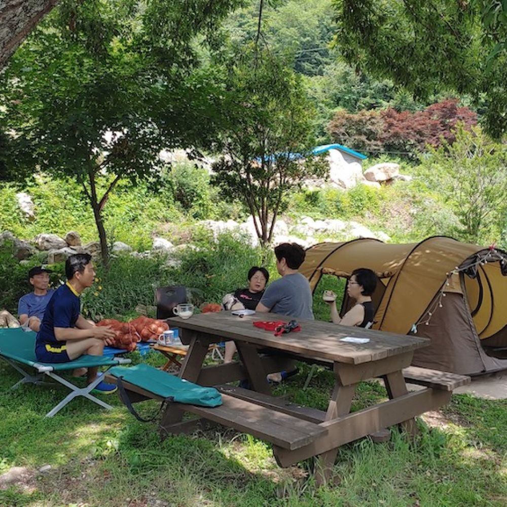 다숲이맺은인연