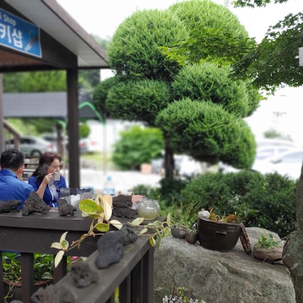 다숲이맺은인연